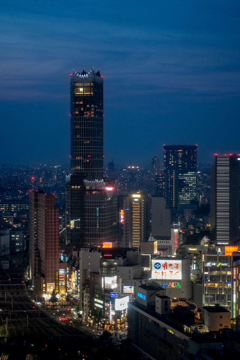 Yutori Voyage - Japon - Camille Blanchet - Tokyo la nuit